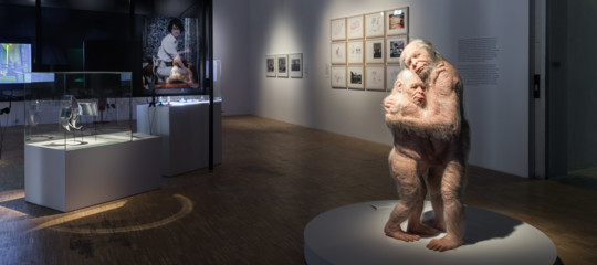 Ragazzi il marzo alla triennale si entra gratis per protestare