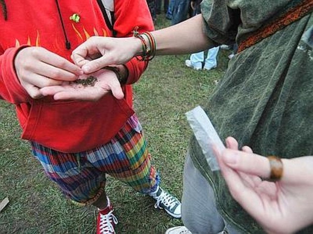 Droga da combattere droga da legalizzare il nuovo tema che divide il governo