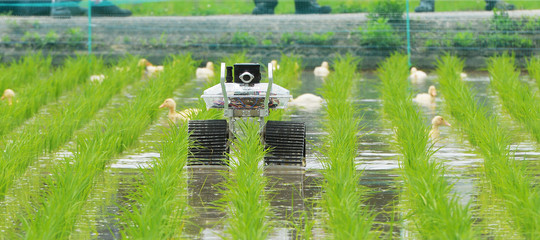 Prezzi bassi e pochi immigrati arrivano i contadini robot