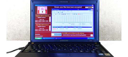 Un vecchio computer pieno di virus e diventato unopera darte