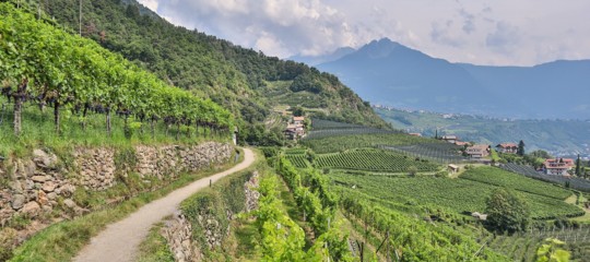 Lorigine del nome alto adige e perche qualcuno vuole abolirlo