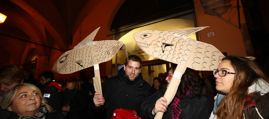 Come sono nate le sardine e dove vogliono arrivare