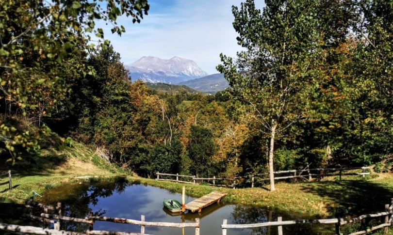 amatrice parco daini de andre parco rinascita&nbsp;