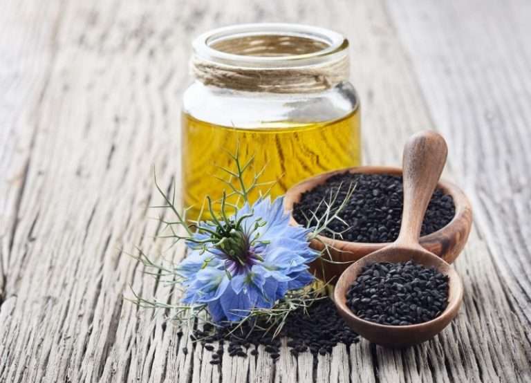 CONCIME GRANULATO UNIVERSALE 5,3 L (4 kg) INIZIO GIARDINO